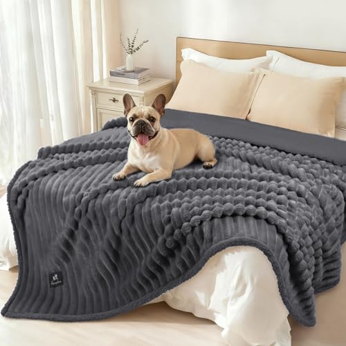Luciphia Waterproof Dog Blanket for Large Dogs Ultra-Soft Calming Cut Pile Flannel Throw Durable & Warm Furniture Protection for Couch Bed Pet Human Blanket Machine Washable Stone Gray,XL(85''x57'') - color: Stone Gray, size: XL(85''x57'')