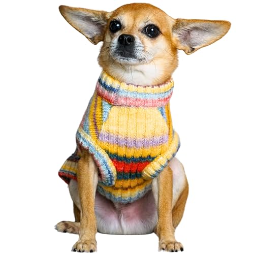 Blueberry Pet Dog Sweater - Award-Winning Christmas Sweater for Small Dogs, Stylish Dog Clothes for Pet Lovers, America's Best Petcare Brand 2022, Warm & Cozy Knit for Cold Weather - color: Rainbow Hue, size: 20 inch