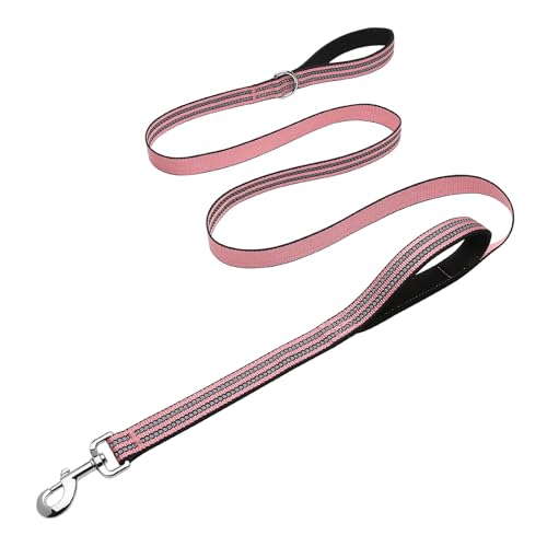 Hikiko 6 FT Heavy Duty Dog Leash with 2 Padded Handles Reflective Nylon Double Handle Dog Leash, Cherry Pink - color: Cherry Pink, size: 1 in x 6 ft