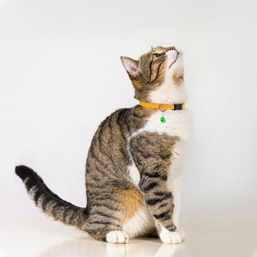 Breakaway Cat Collar with Bell - Leather Adjustable Kitten Collars with Safety Quick Release Buckle - Soft Small Pet Collars for Girl & Boy Cats (Yellow) - color: Yellow