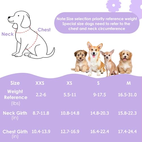 Lukovee Puppy Harness and Leash Set, No Pull Lightweight Soft Suede Adjustable Pet Harness Vest with Snap Buckle for Puppy Small and Medium Size Dog (Purple-XS) - color: Purple Daisy, size: X-Small ( 5.5-11lb )
