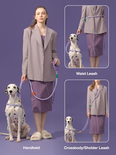 Hands Free Dog Leash, 5-in-1 Adjustable Waist Training Leash for Walking& Hiking – Dual Lead Rope with Padded Handle,MGBR Rotating Metal Clip - color: Classic-Grape Violet-5Ft