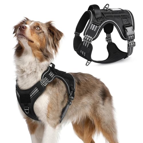 rabbitgoo Tactical Dog Harness Medium Sized Dog, No Pull Military Service Vest with Handle & Molle, Easy Control for Training Walking, Adjustable Reflective Straps, Black, M - color: Black, size: Medium