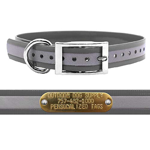 Outdoor Dog Supply 1" Heavy Duty Reflective Waterproof D-Ring Dog Collar for Medium & Large Dogs with 3/4" Custom Brass Nameplate (Reflective Silver, 18") - color: Reflective Silver, size: 18" Long