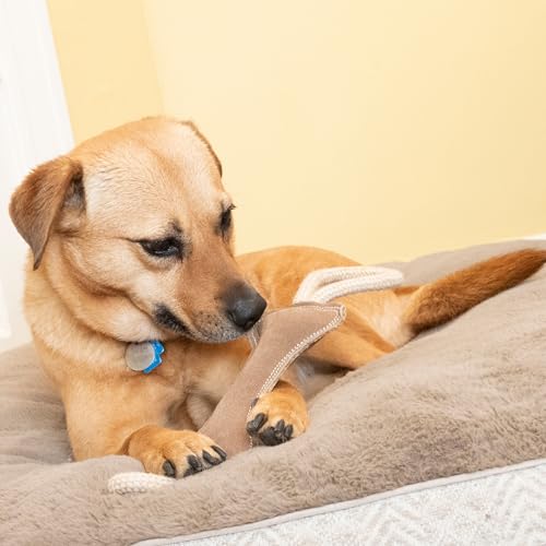 SPOT Dura-Fused Leather Bone Tug Dog Toy – Durable Real Leather & Jute Chew Toy with Double Rope Handles & Squeaker, For Moderate Chewers, 18in - size: 18 in