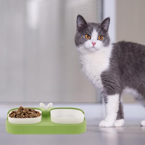 HEMOTON Cat and Dog Feeding Bowl Set Nonslip Plastic Pet Food and Water Bowls for Cats and Puppies Spill-Resistant Feeder for Home Use