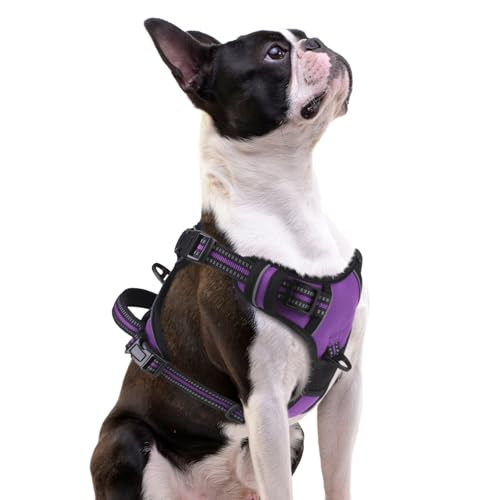 PUPTECK No Pull Dog Harness Small Sized, Adjustable Reflective Dog Harness with Handle Easy Control, Comfortable Soft Padded Pet Vest Harness for Small Dogs, Solid Purple S - color: Purple, size: Small