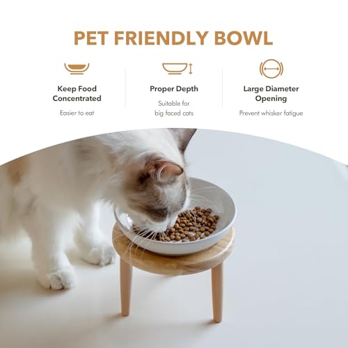Havniva Cat Bowls Elevated 5.6” Ceramic Cat Bowl with Stand Whisker Friendly Cat Dishes, Cat Food & Water Bowl Set with Two Heights Options, Raised Cat Food Plates for Kitten Anti-Slip Pet Bowls - color: 1 Bowl+Stand- White