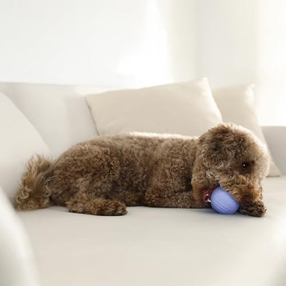 Playology Dog Toys | Dual Layer Ball Durable Chew Toy for Tough Chewers | Blueberry Scented Medium Dog Toy | Chew Toys for Dogs - size: Medium, style: Blueberry