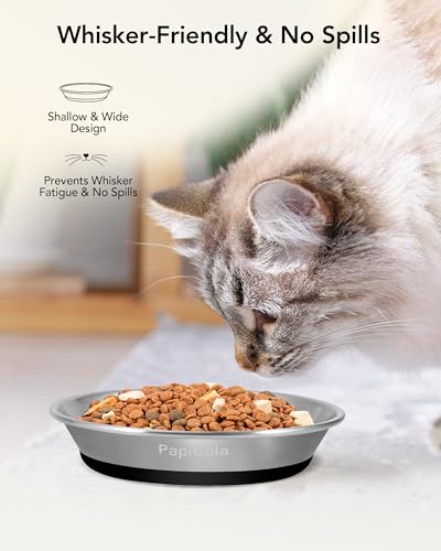 Stainless Steel Cat Bowls 4PCS, Non-Slip cat Food Dishes, Metal Pet Food and Water Bowls, Whisker Friendly with Wide and Shallow Design, 6.3'' Wide, 0.7mm Thick Steel, Ideal Pet Dish (4PC-6.3in) - color: 4PC-6.3in