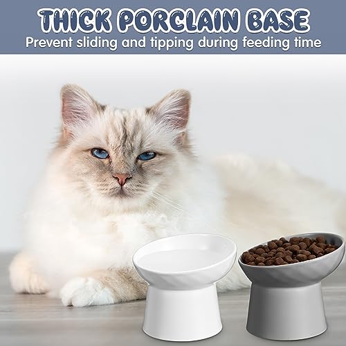 Tanlade 4 Pcs Ceramic Raised Cat Bowls, Elevated Tilted Cat Bowl for Food Water, Stress Free, Backflow Prevention, Dishwasher Microwave Safe, Feeder Dish for Indoor Kitten, Small Dogs(White and Grey) - color: White and Grey