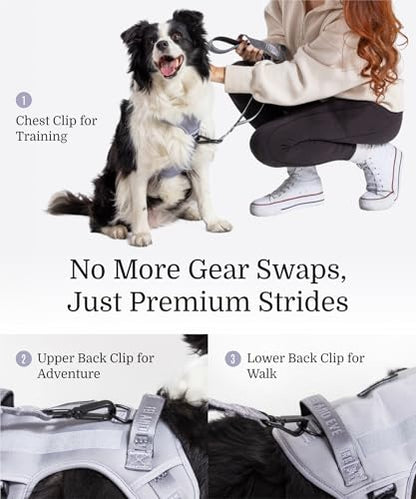 2026 New Edition, Fei & Eve MagEase Dog Harness - Instant Magnetic Buckle | 3-Point No-Pull Control | Heavy-Duty 900D Nylon | Dual Safety Handles | Breathable Mesh | Adjustable Fit | Medium,Gray - color: Twilight Gray, size: M