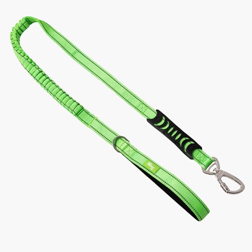 Dog Friendly Co. Bungee Dog Leash | Strain Free & Shock Resistant for Control | Neoprene Padded Handle, Heavy-Duty Carabiner Clip, and D-Ring | Neon Green, Size Small - color: Neon Green, size: Small