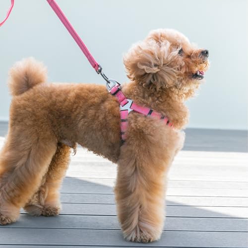 EXCELLENT ELITE SPANKER No Pull Dog Harness Adjustable Nylon Step-in Easy Pet Vest Chest Strap with Reflective and Leash Ring for Small Medium Large Breed Dogs Training Walking(Purple-M) - color: Purple, size: M
