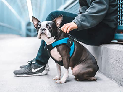 Gooby - Escape Free Easy Fit Harness, Small Dog Step-in Harness for Dogs that Like to Escape Their Harness, Turquoise, Medium - color: Turquoise, size: Medium chest (18~21.75")