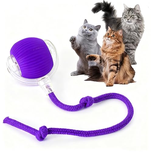 Rocfish Durable Interactive Cat Toys for Indoor Cats, Smart Automatic Cat Chase Ball Toy, Upgraded Speedy Tail Kitten Toy for Bored Indoor Adult Pets (Purple) - color: Purple