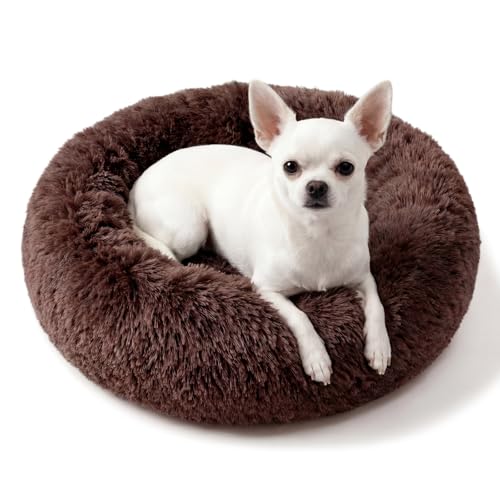 Calming Donut Dogs Beds for Small Dogs Washable,19inch Fluffy Round Puppy Bed for Puppies,Cats & Toy Breeds with Raised Rim,Fits up to 15 lbs Pets,Chocolate Brown - color: Coffee, size: 19 inches