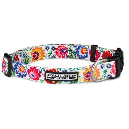Lucky Love Dog - Adjustable Dog Collar with Easy Click Buckle for Small Ones, Durable, & Comfortable for Male & Female Dogs, Pet Collar for Puppies & Adult Dogs - Ladybird, XS - color: Ladybird Collar Only, size: X-Small | 7-11"