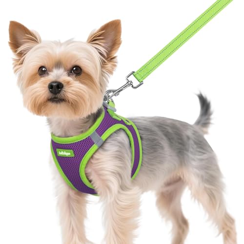 rabbitgoo Dog Harness Small Sized and Leash Set, Step-in Breathable Pet Harness, Soft Walking Reflective Puppy Vest for Small Dogs, Purple & Green, XS - color: Purple & Green, size: XS (Chest: 13.3 - 15.5")