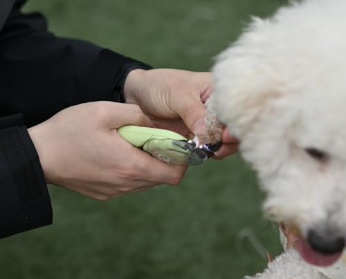 3 in 1 Dog & Cat Pets Nail Clippers and Trimmers-with Safety Guard to Avoid Overcutting. LED Dog Nail Clipper with Light, Illuminates Nails or Bloodline for Safe and Easy Trimmers,for Cats & Dogs