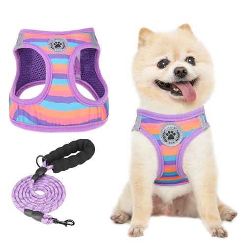 BEAUTYZOO Dog Harness and Leash Set for Small Dogs,No Pull Step-in Harness for Puppy XS S Sized Dogs and Cats,Air Mesh Adjustable Breathable Soft No Choke Escape Proof Vest Harness,Striped Purple XXS - color: Purple_Stripe, size: XX-Small(Chest Girth 11.5