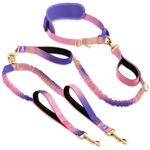 SparklyPets - Hands Free Dual Dog Leash for Medium and Large Female Dogs - Padded Handles, Reflective Stitches, No Pull, Tangle Free - Walking, Hiking, Jogging, Canicross Waist Leash - Gradient Pink - color: Gradient Pink, size: 2 dogs M/L