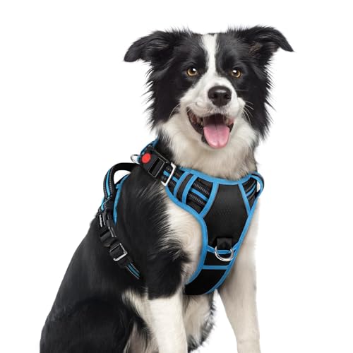 rabbitgoo Dog Harness Medium Sized, No Pull Dog Vest with 3 Buckles, Adjustable Soft Padded Pet Harness with Easy Control Handle and Reflective Strips, Black & Sky Blue, M - color: Black & Sky Blue, size: Medium
