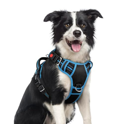 rabbitgoo Dog Harness Medium Sized, No Pull Dog Vest with 3 Buckles, Adjustable Soft Padded Pet Harness with Easy Control Handle and Reflective Strips, Black & Sky Blue, M - color: Black & Sky Blue, size: Medium