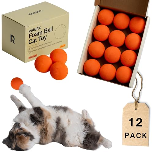 Rawry Foam Ball Cat Toy Set – 12 Foam Balls for Indoor Cats & Kittens | Soft, Durable, Bouncy Balls for Playtime & Exercise | Lightweight, Non-Toxic, Easy for Cats to Chase (12 Pack, Orange) - color: Orange