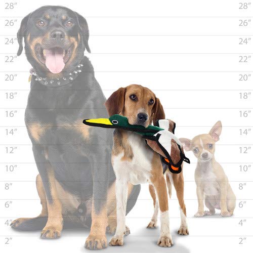 TUFFY World’s Tuffest Soft Dog Toy – Barnyard JR Series, Duck with Squeakers, 2 Pack - color: Duck, size: Jr 2 Pack