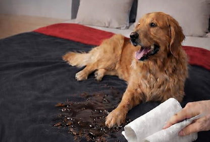 Waterproof Blanket for Bed, Couch, Kids & Pets Protection – Splash-Proof, Spill-Proof, Leakproof Flannel Blanket Reversible Design (Passion Red & Midnight Black, Double Size) - color: Velvet Red/Obsidian Black, size: Full