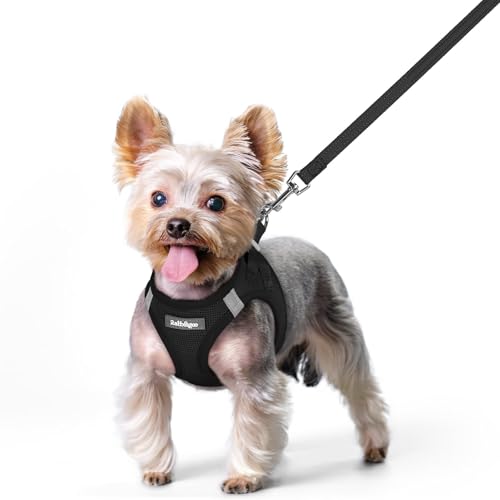 rabbitgoo Dog Harness Small Sized and Leash Set, Step in Soft Light Puppy Vest, Breathable Mesh Pet Harness, Reflective for Safe Easy Walking, Black XS - color: Black, size: Xs (chest: 13.3 - 15.5")