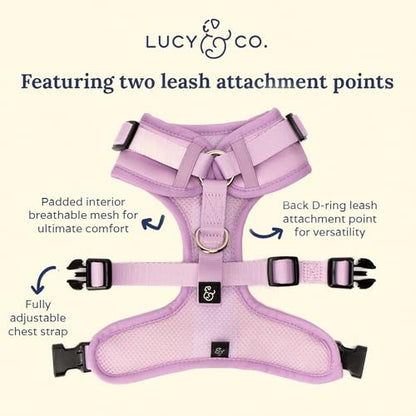 Lucy & Co. The Bouquet No-Pull Dog Harness - Size Small - Vest to Stop Pulling & Walk Easy - Comfortable Leash Training Product w/Adjustable Chest & Neck Straps - color: The Buquet No-Pull Harness, size: Small