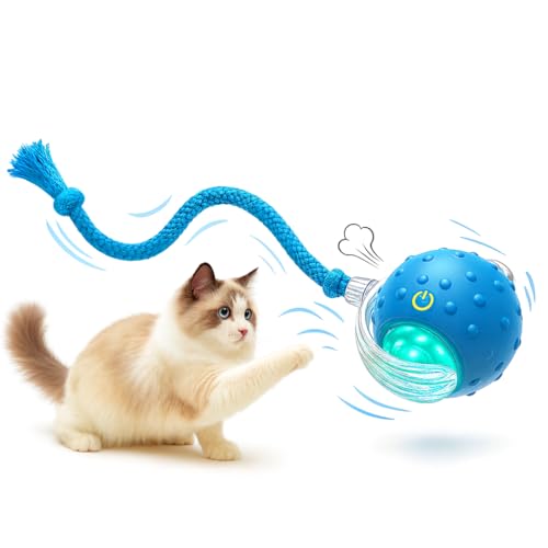 Interactive Cat Toy Ball for Indoor Cats – Fast Rolling on Carpet, Motion Activated with Chirping Sounds, Smart Play Toy (Blue) - color: Blue