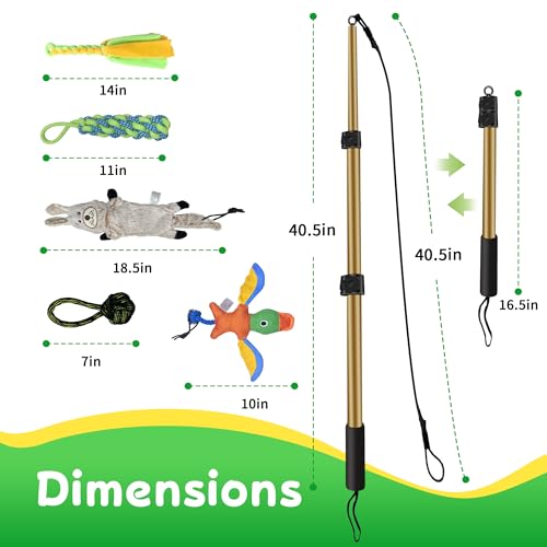 Flirt Pole for Dogs, Interactive Dog Toys Extendable Teaser Wand with Lure Chewing Toys, Chase and Tug of War for Small Medium Large Dogs Training Playing Exercise - size: 40.5Inch Pole-Gold
