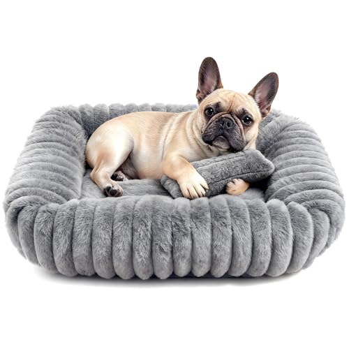 Dog Bed for Small Medium Size Dog, Washable Self Warming Dog Cat Beds for Indoor Cats Fluffy Rabbit Fur Pet Bed for Puppy and Kitten, Orthopedic Dog Cat Beds with Removable Cover & Anti-Slip Bottom - size: 28*22* 8 inches