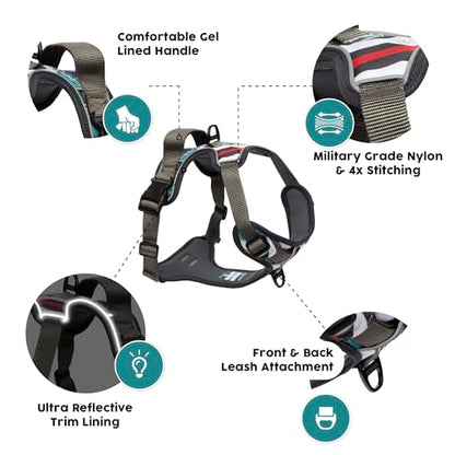 Embark Adventure Small Dog Harness – No-Pull, Reflective Trim, Military-Grade Nylon, Front Clip with Gel-Lined Handle - color: Maverick, size: S