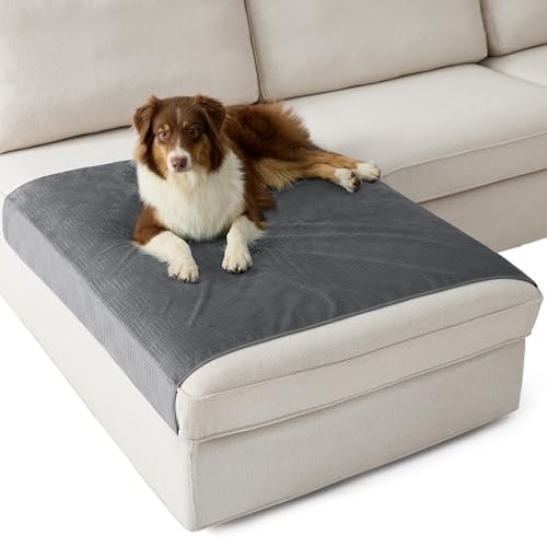 Bedsure Waterproof Couch Cover for Dogs Washable - Waterproof Blanket for Large Dogs Couch Sofa Cozy, Lightweight Furniture Protector for Pet Cat Quick Drying Puppy, Ash Grey, 40x50IN - color: Ash Grey, size: 40x50 inch