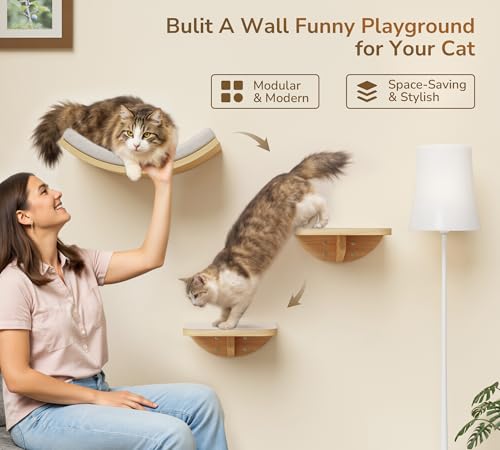 Cat Wall Shelf with Curved Hammock Bed, Wall Mounted Cat Perch with Beige Soft Foam Cushion, Floating Wall Furniture for Climbing, Sleeping & Lounging - color: Foam/Felt-Wood, size: 1 Curved Bed
