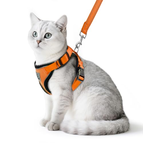 PUPTECK Cat Harness and Leash Set Escape Proof Reflective Cat Walking Harness Adjustable Soft Breathable Mesh Vest for Small Pets, Orange, S - color: Orange, size: S (NECK 9.5"-11", CHEST 13"-16")