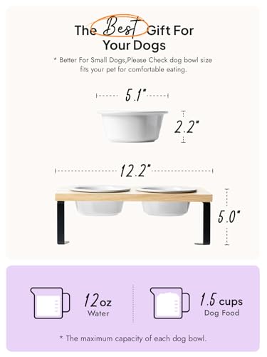 Elevated Dog Bowls, Raised Dog Bowl Stand with Two 5.1 inch Ceramic Bowls, Non-Slip Cat Food and Water Dish for Small and Medium Breed, White - color: White, size: 5.1inch
