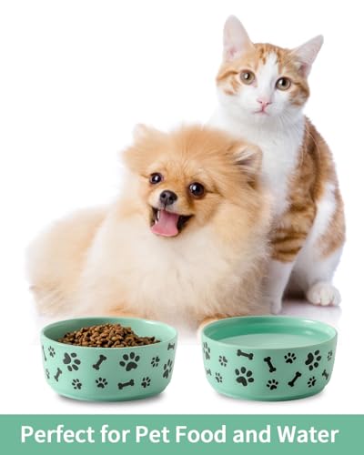 UBEE Ceramic Dog Bowl Set of 2, 5.5 inch Dog Food Bowl Dish with Bone Paw Pattern, Pet Food Water Dish Feeding Plates for Small Dogs, Puppy and Cat, Green - color: Green-dog paw, size: 5.5 inch x 2