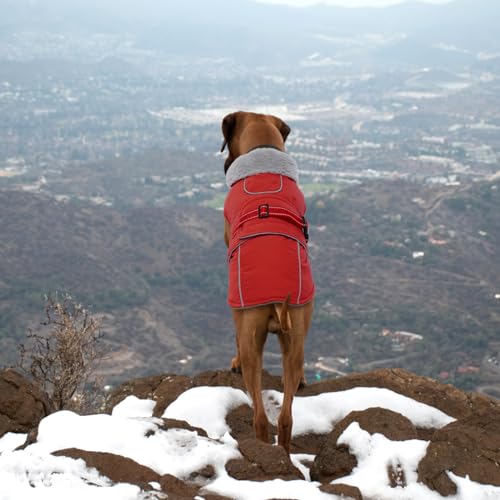 Lelepet Warm Dog Coat Waterproof Dog Jacket Reflective Fleece Vest with Adjustable Buckle Hook & Loop, Windproof Winter Jacket Dogs Coats for Small Medium Large Dogs, Red, M - color: Red, size: M
