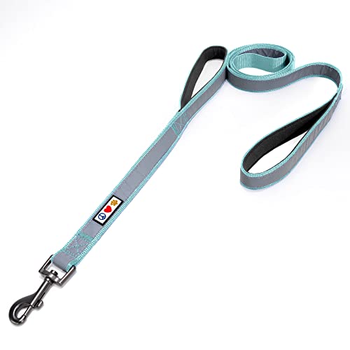 Pawtitas Double Handle Dog Leash Heavy Duty for Training No Pull Leashes Ideal for Medium and Large Dogs | Great for Walking, Running & Training Dog Leash - Medium/Large - Teal - color: Teal, size: Medium / Large