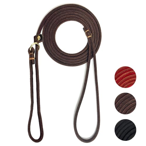 Guiding Star Leather Slip Lead Dog Leash for Small Dogs & Puppies 6 Ft x 1/4 Inch,Luxurious and Lightweight Leather Training Dog Leash for Walking with Soft Handle (Brown) - color: Brown, size: Slip Leash