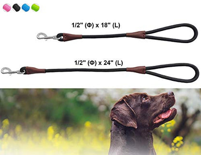 Short Dog Leash- 2FT Strong Nylon Black Traffic Leash- No Pull Rope Lead for Medium Large Dogs Training Walking (Black,1/2" x 24 inch) - size: 24 Inch (Pack of 1)