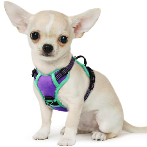 Small Dog Harness No Pull, Service Vest with Reflective Strips and Control Handle, Adjustable and Comfortable for Walking, No Choke Pet Harness with 2 Metal Rings, Purple & Green, XS - color: Purple & Green, size: X-Small