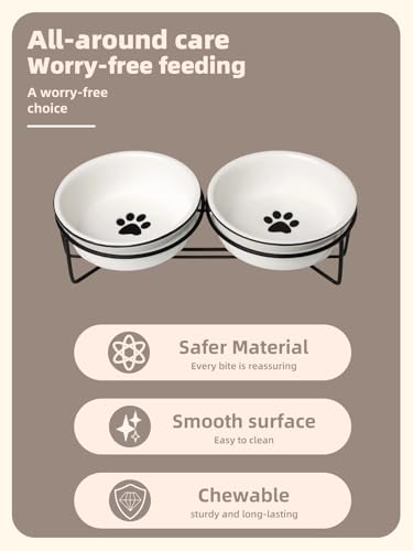 GDCZ Ceramics Raised Cat Bowls with Heighten Metal Stand,15 Ounces White - color: White