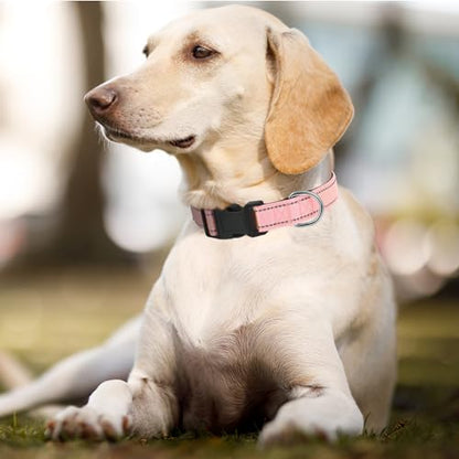 Dog Collars Adjustable for Puppy and Small Dogs,Heavy Duty Waterproof Dog Collar with Quick Release Buckle,Girl Boy Female Male Reflective Nylon Dog Collar with Soft Neoprene Padded,XS,Pink - color: Pink, size: X-Small