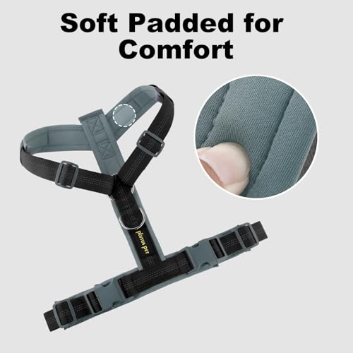 Plutus Pet No Pull Dog Harness, Adjustable Nylon Harness with Soft Padding, Reflective and Heavy Duty Dog Harness for Small, Medium, Large Dogs(Black, XS) - color: Black, size: XS